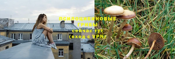 метадон Абаза