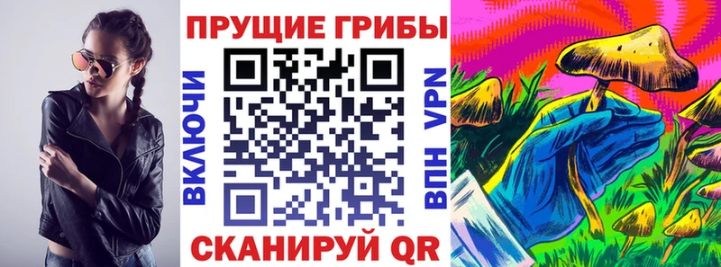 Псилоцибиновые грибы Psilocybine cubensis хочу наркоту дарк нет какой сайт Ялта